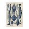 Stupell Industries Traditional Blue Fish Chart Wall Plaque, design by Alicia Longley